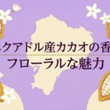 カカオの最高峰「アリバ種」とは？エクアドルチョコのフローラルな香りの秘密