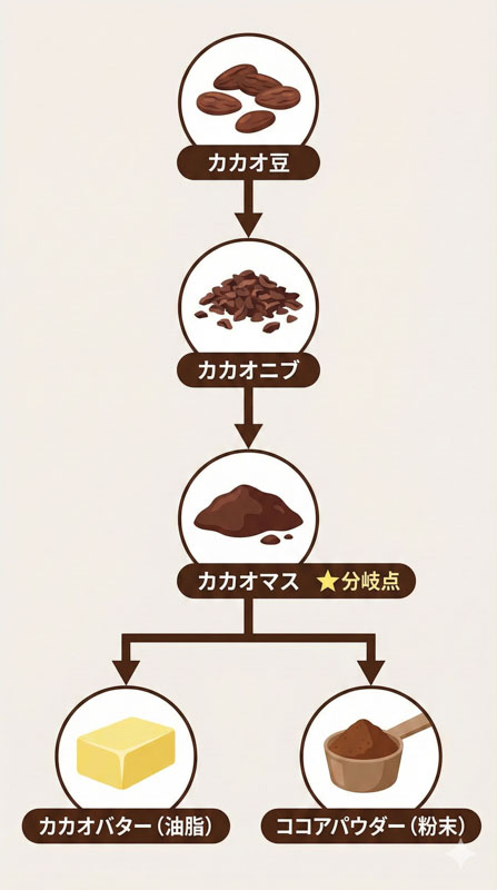 005 cacao process flow