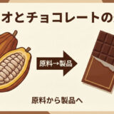 カカオとチョコレートの違い｜図解で分かる原料から製品への変身