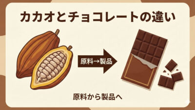 カカオとチョコレートの違い｜図解で分かる原料から製品への変身