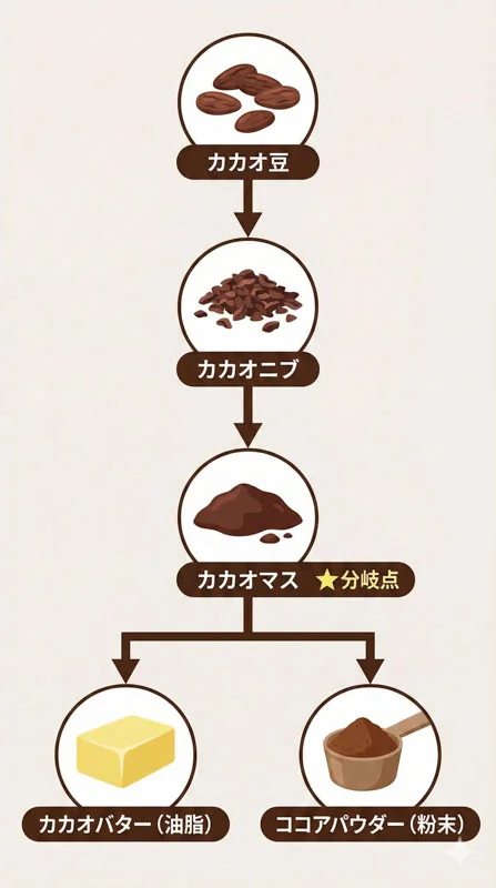 005 cacao process flow