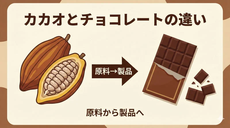 カカオとチョコレートの違い｜図解で分かる原料から製品への変身