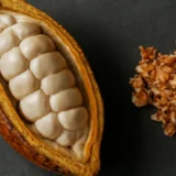 カカオハスクとカカオパルプ｜豆以外の部分はどこへ行くのか