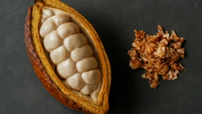 カカオハスクとカカオパルプ｜豆以外の部分はどこへ行くのか